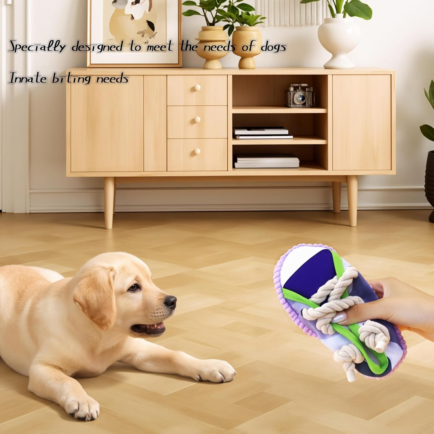 Dog chew Toys, New Creative Shoe Shaped Toys, Interactive squeaking Shoe Toys Suitable for Small to Medium-Sized Dogs, Dog Toys for pet Training and Teeth Cleaning (Purple)
