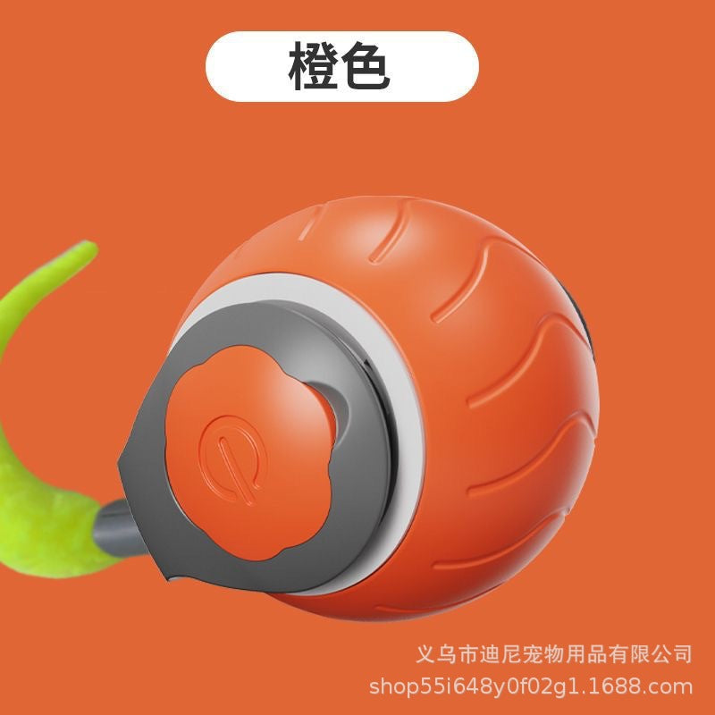 Smart Rolling Ball - Electric Pet Toy for Cats & Dogs, Self-Entertaining Interactive Ball with String, Pet Supplies