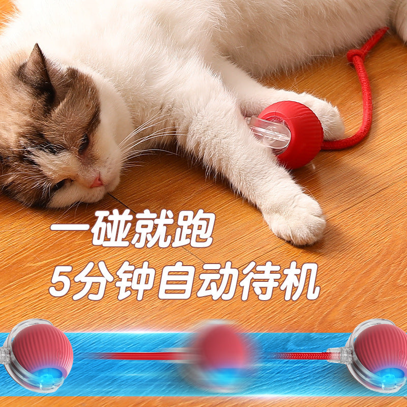 Smart Rolling Ball - Electric Pet Toy for Cats & Dogs, Self-Entertaining Interactive Ball with String, Pet Supplies