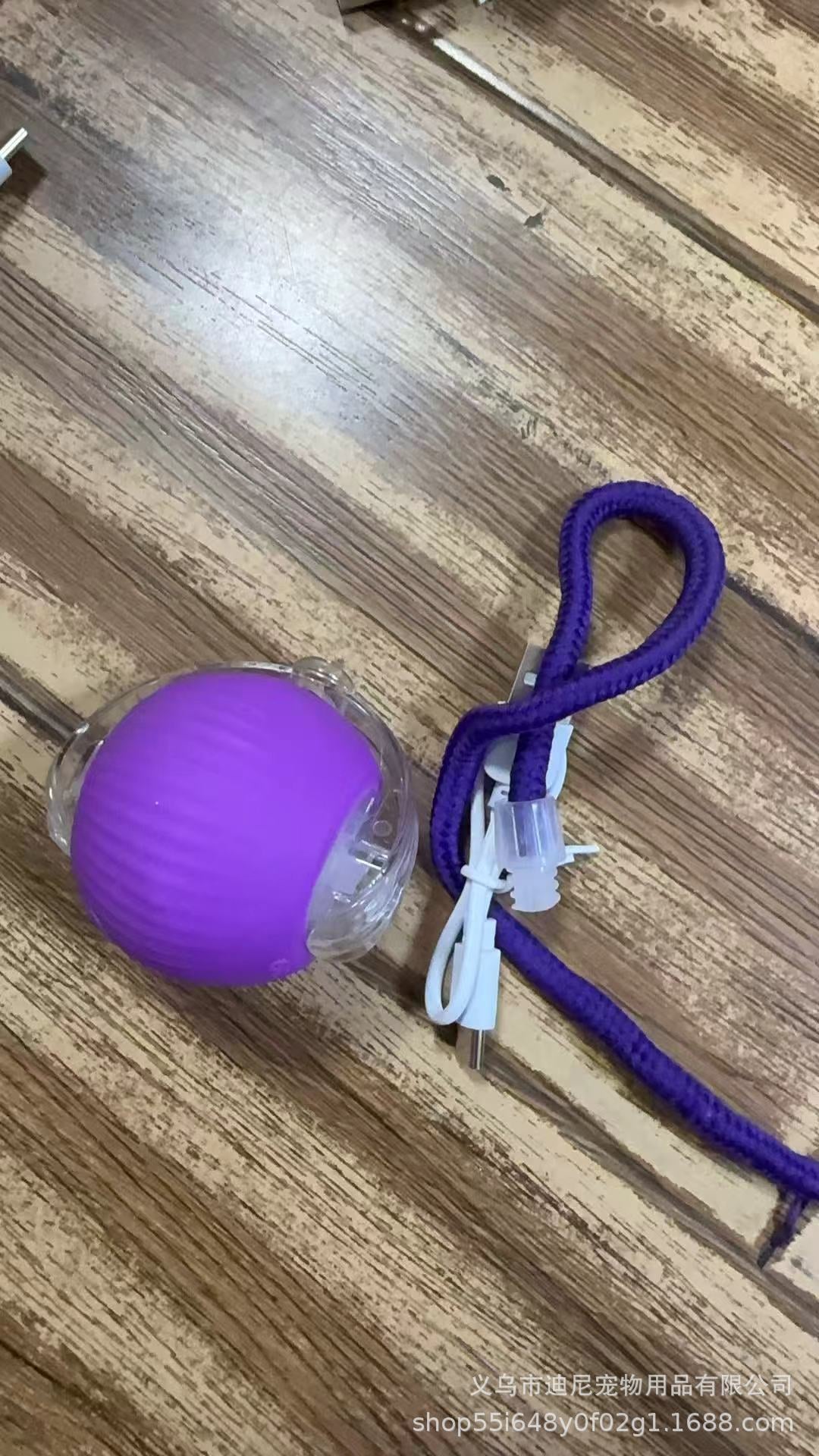 Smart Rolling Ball - Electric Pet Toy for Cats & Dogs, Self-Entertaining Interactive Ball with String, Pet Supplies