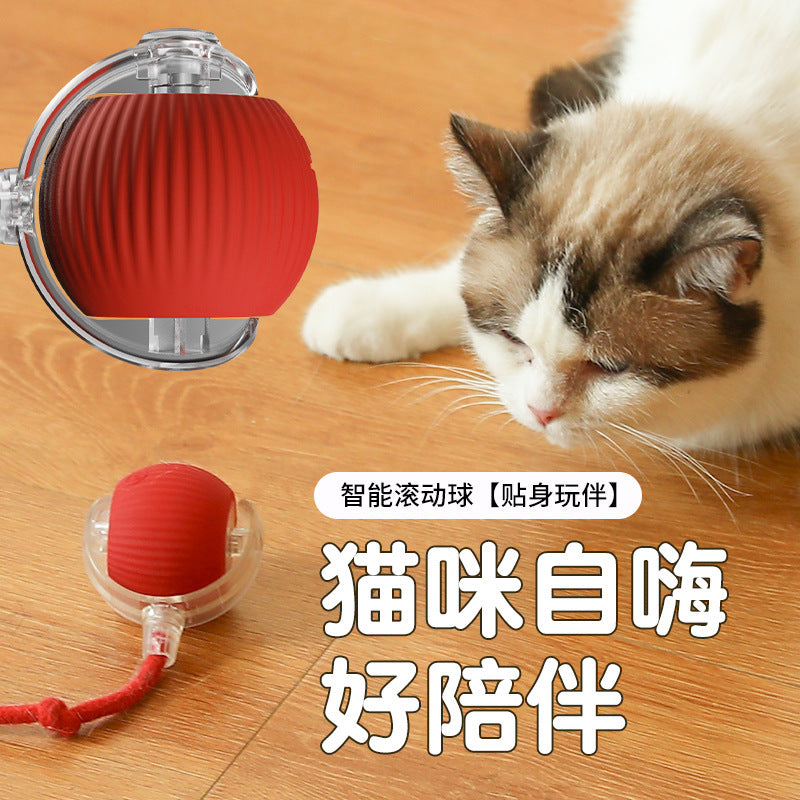 Smart Rolling Ball - Electric Pet Toy for Cats & Dogs, Self-Entertaining Interactive Ball with String, Pet Supplies
